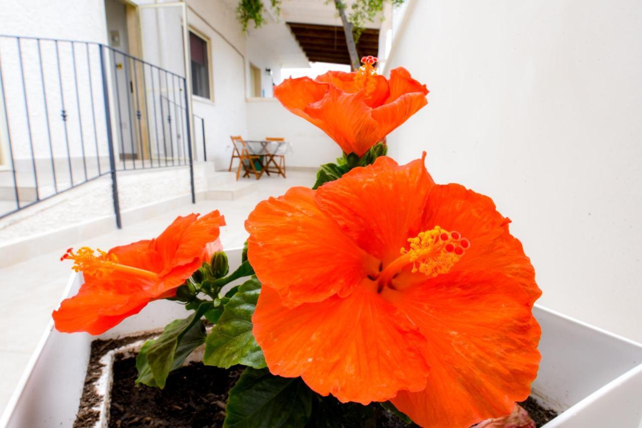 B&B Macchia Mediterranea Сан Пиетро ин Беваня Екстериор снимка